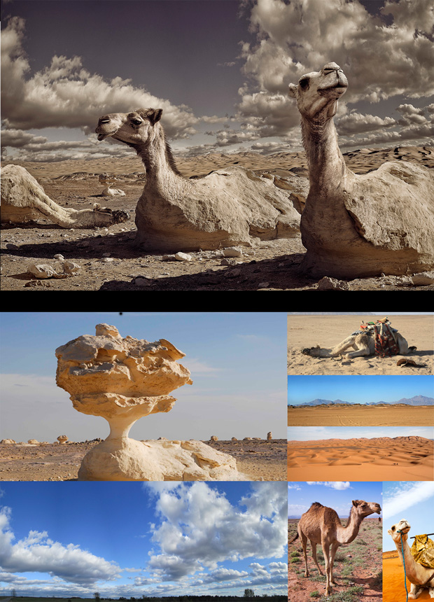 Retouching_Academy_Greg_Agee_Composite Artist_Interview_Desert-Camelflage